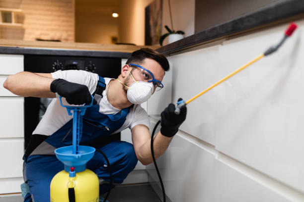Best Wasp Removal Services  in Kohler, WI