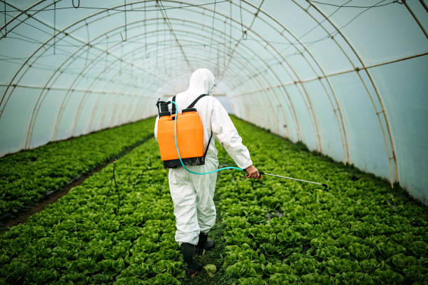 Best Local Pest Control Services  in Kohler, WI