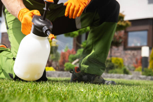 Best Mosquito Control Services  in Kohler, WI