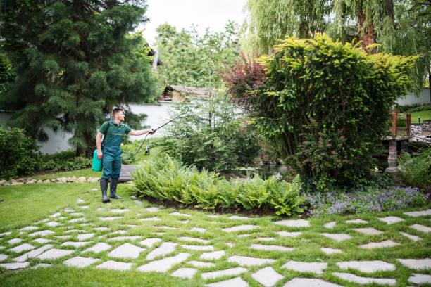 Best Pest Removal Services  in Kohler, WI