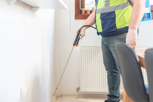 Best Ant Control Services  in Kohler, WI