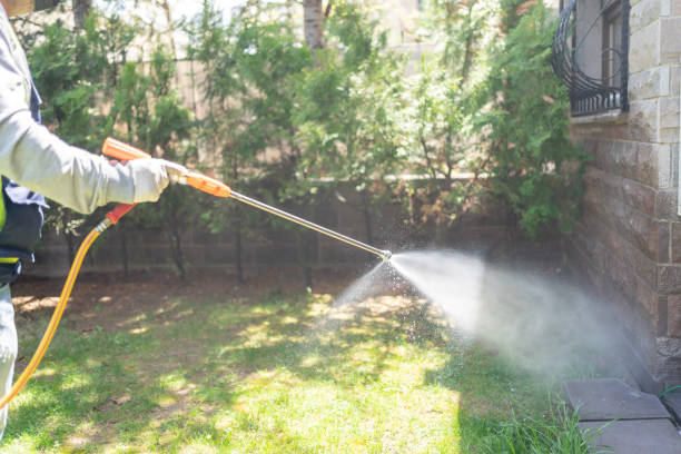 Bird Control in Kohler, WI