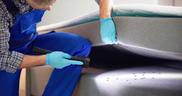 Best Best Pest Control Companies  in Kohler, WI